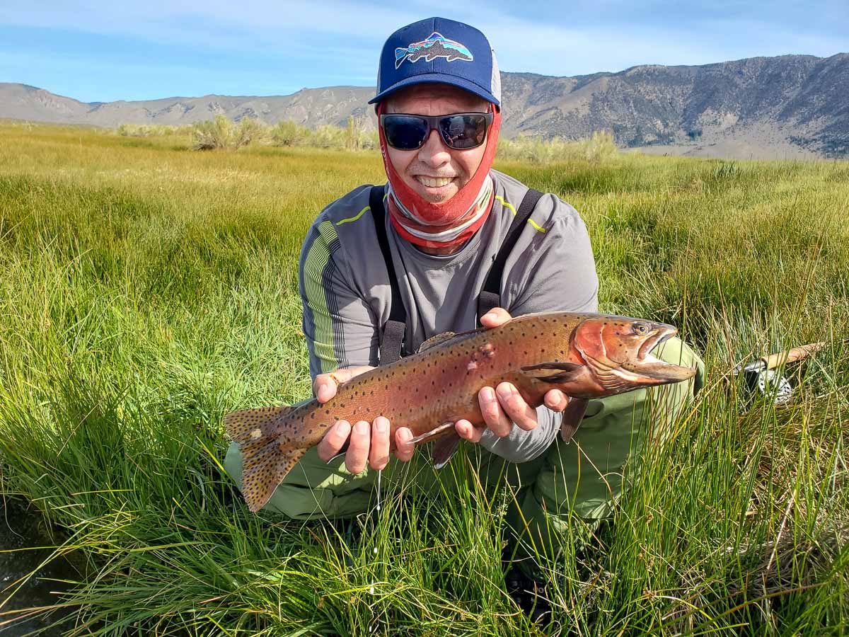 A fly fisherman standing in a river holding a cutthroat trout in spawning colors.