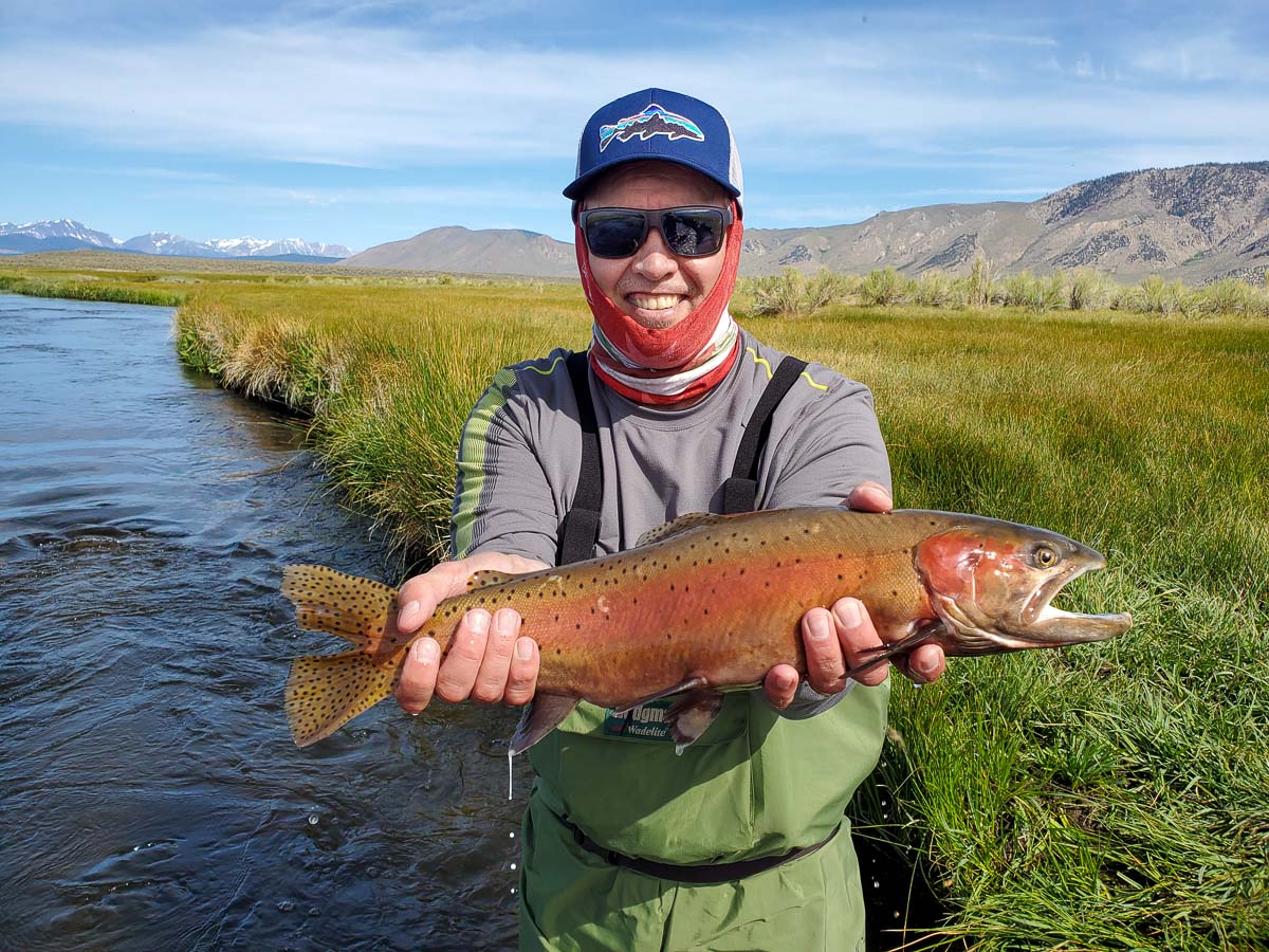 A fly fisherman standing in a river holding a cutthroat trout in spawning colors.