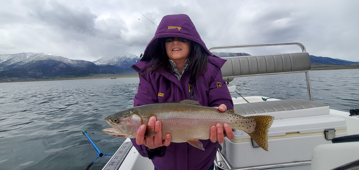 A lady angler with a purple hooded jacket holding a cutthroat trout on a lake in stormy weather.