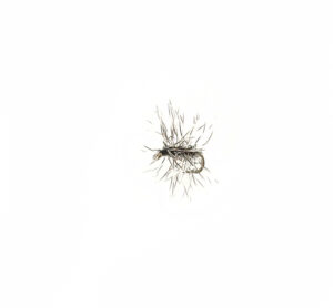 A fly for fly fishing.