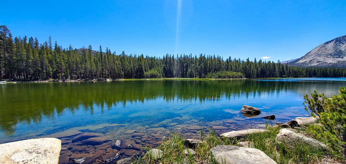 Eastern Sierra Fishing Report 8/4/21 Sierra Drifters Guide Service