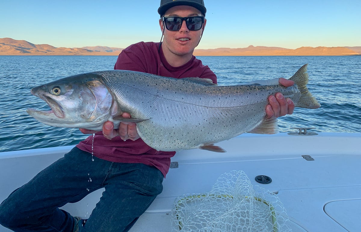 A fly fisherman holding a cutthroat trout on a boat.