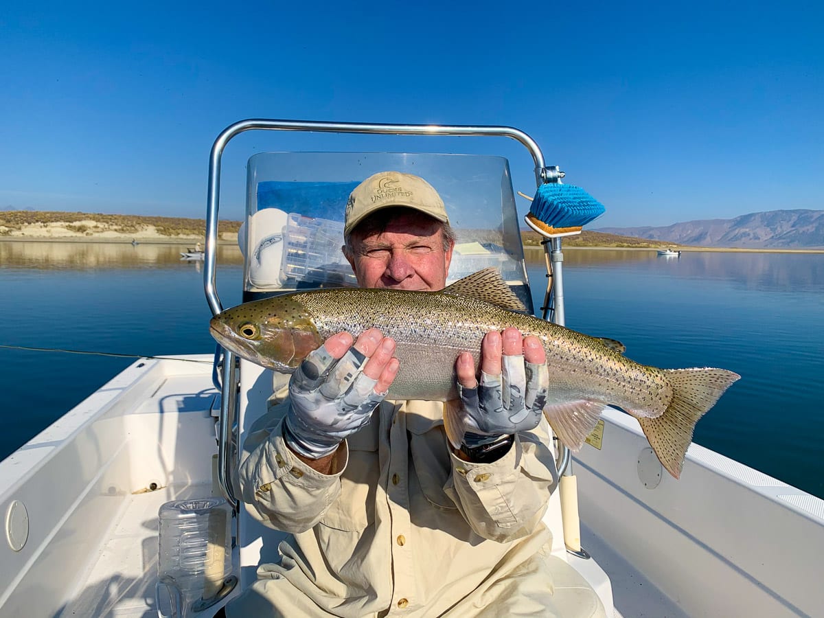 A fly fisherman holding a rainbow trout from Crowley Lake.