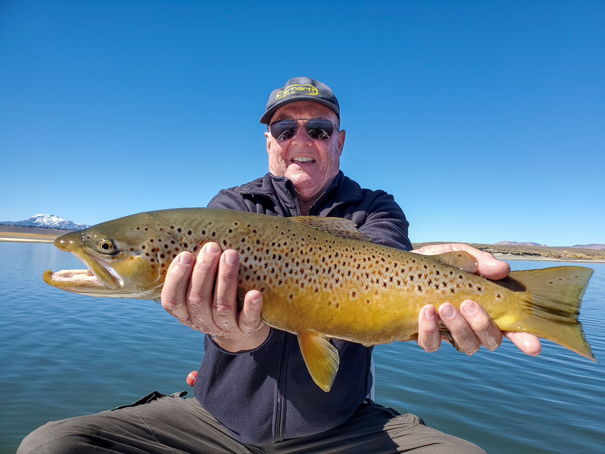 A fly angler holding a giant brown trout on a lake in a boat.