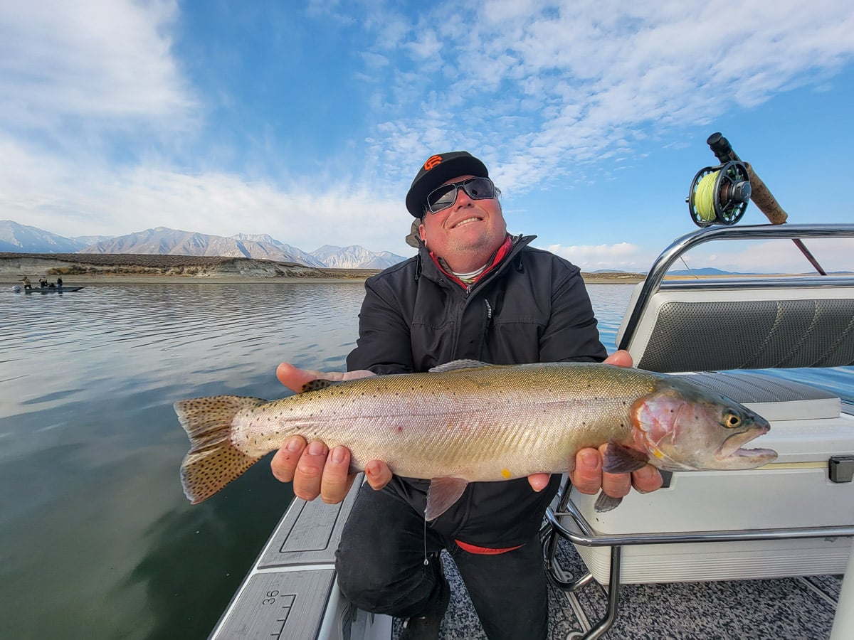 A fly fisherman on a lake in a boat holding a behemoth cutthroat trout.