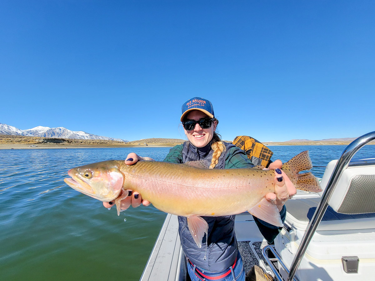A lady angler holding a nice cutthroat trout in a boat on a lake.