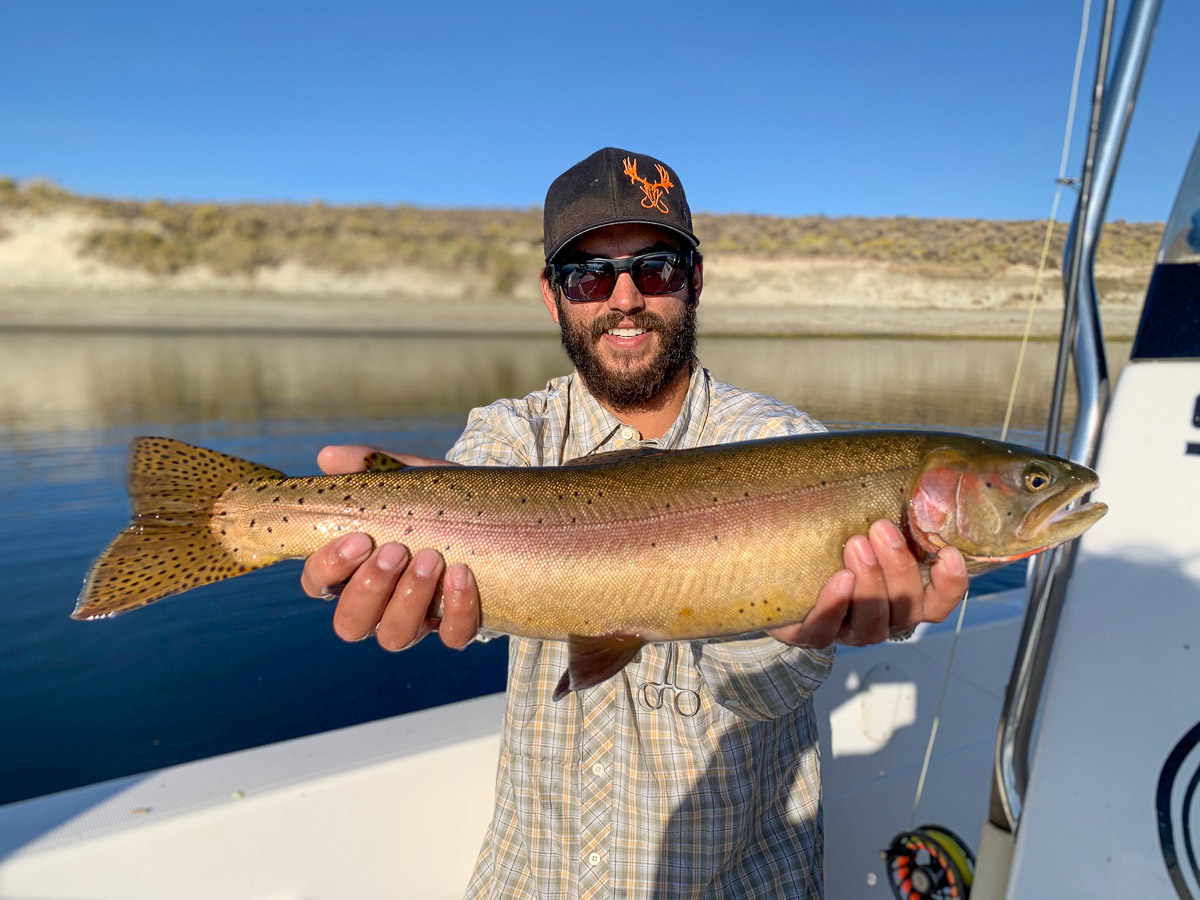  A bearded man in a boat holding a large cutthroat trout on a lake.