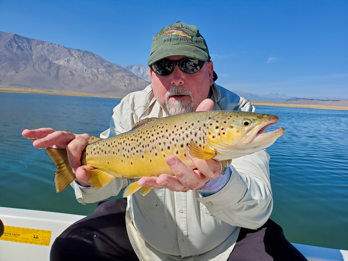 An angler holding a giant brown trout on a lake in a boat.