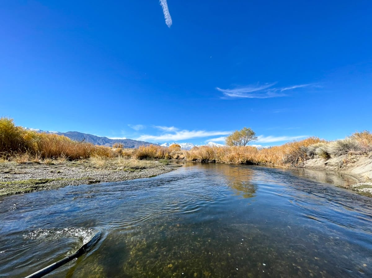 A fly fisherman on a lake in a boat holding a behemoth cutthroat trout.