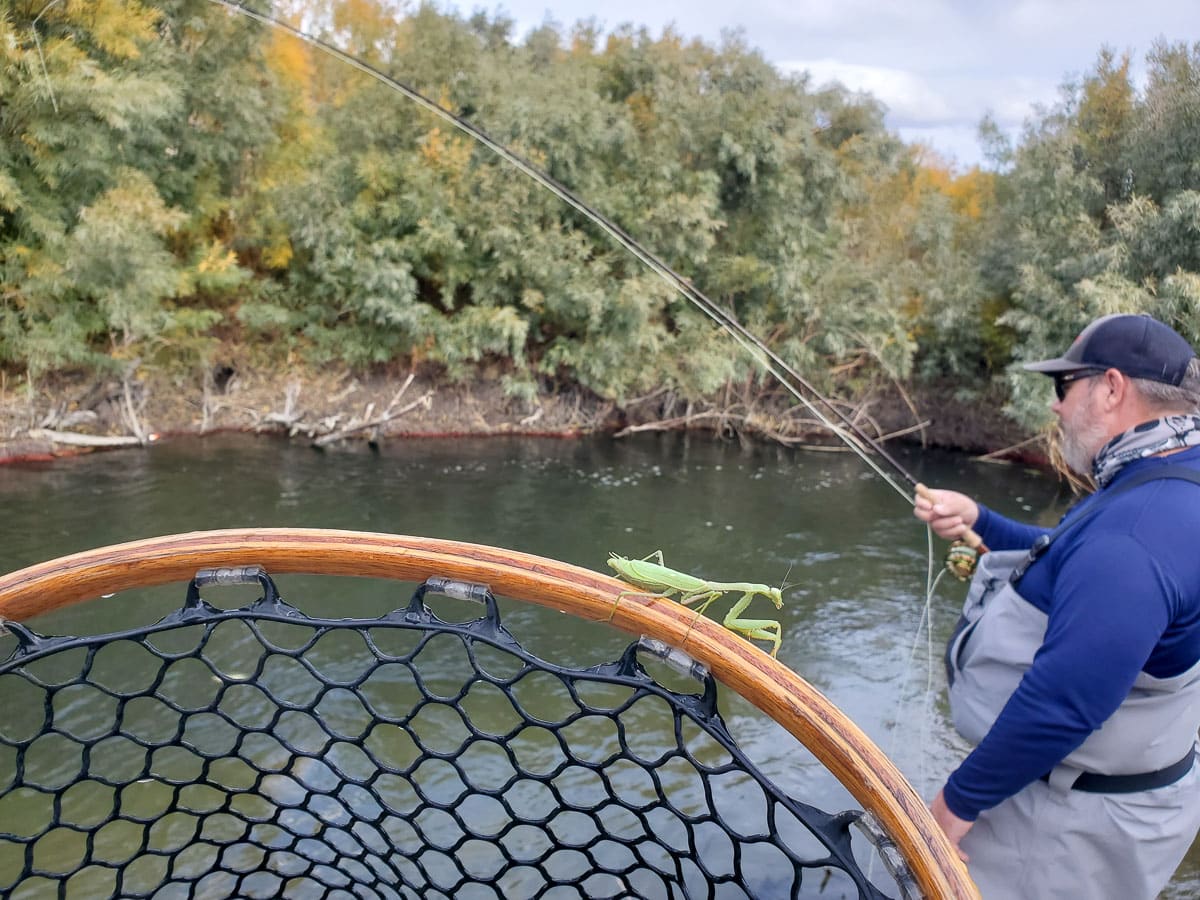 A couple of fly fishermen holding a pair of trout on a lake.