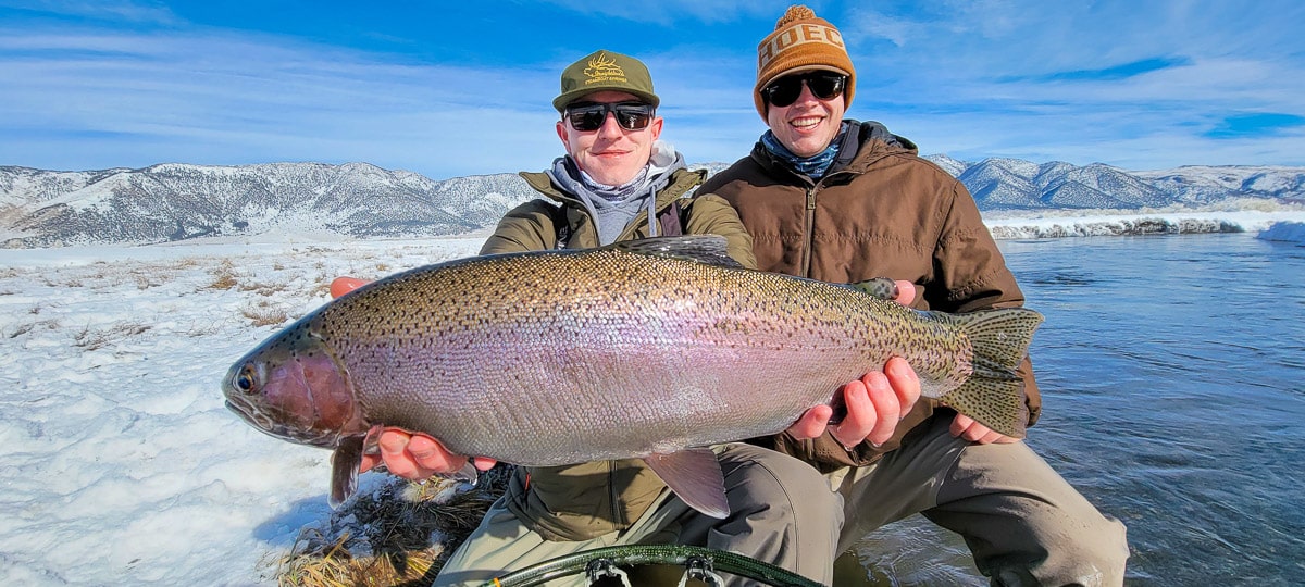 A fly fisherman holding a rainbow trout during the fall spawn from the Upper Owens River.