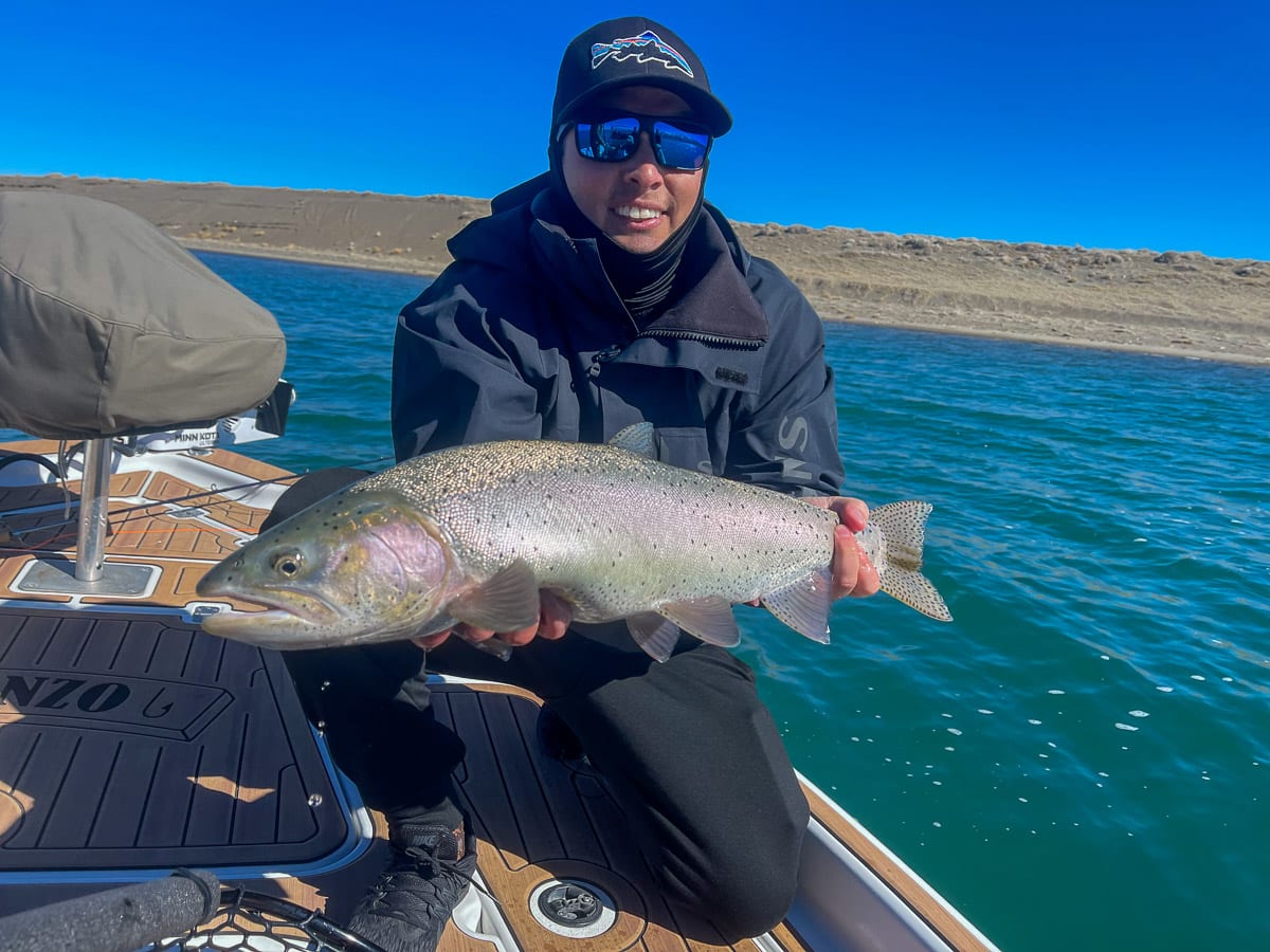 A fly fisherman on a lake in a boat holding a behemoth cutthroat trout.