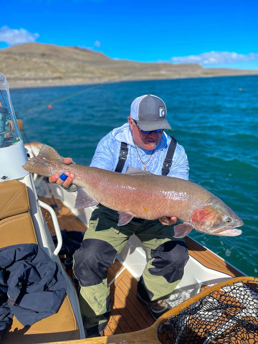 A fly fisherman on a lake in a boat holding a behemoth cutthroat trout.