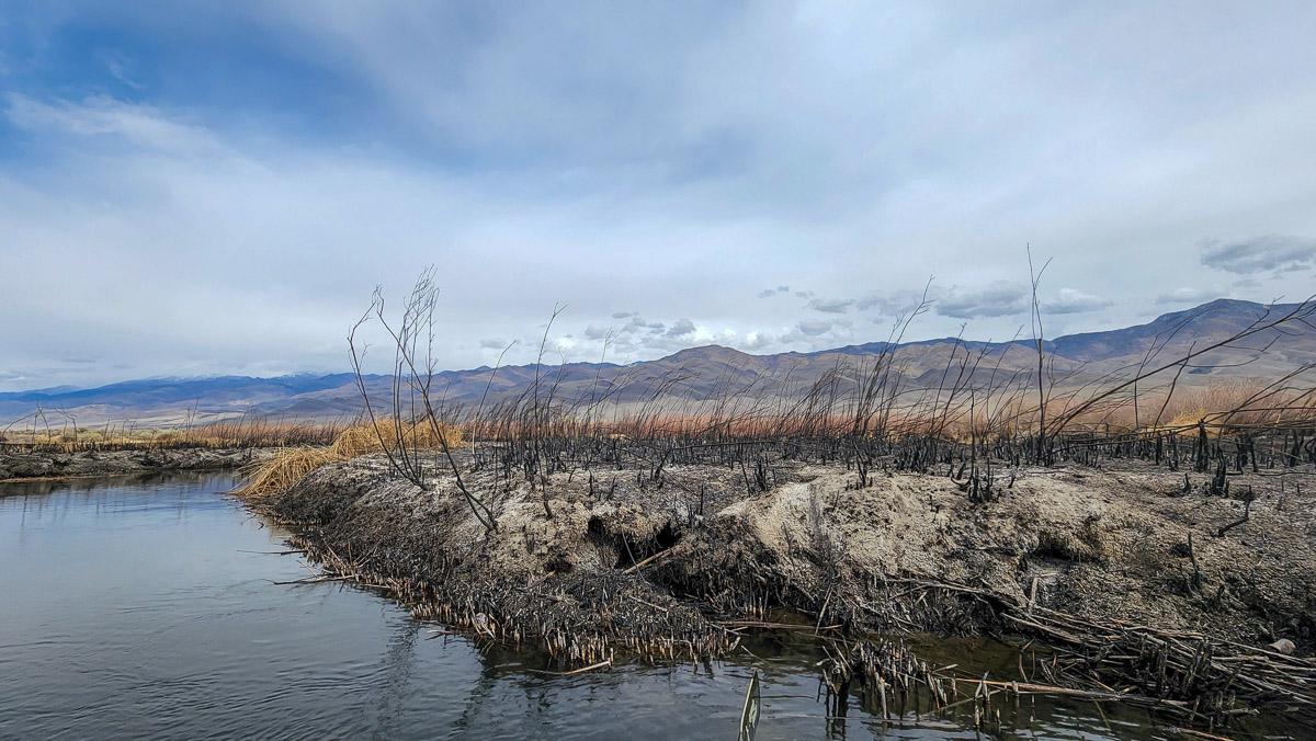 A river bank with burnt landscape.