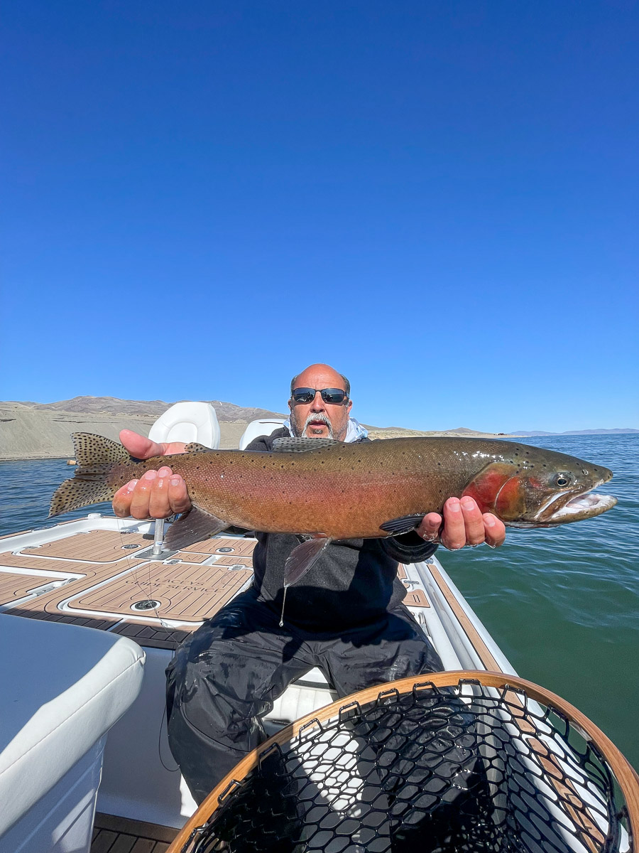 A fly fisherman on a lake in a boat holding a behemoth cutthroat trout.