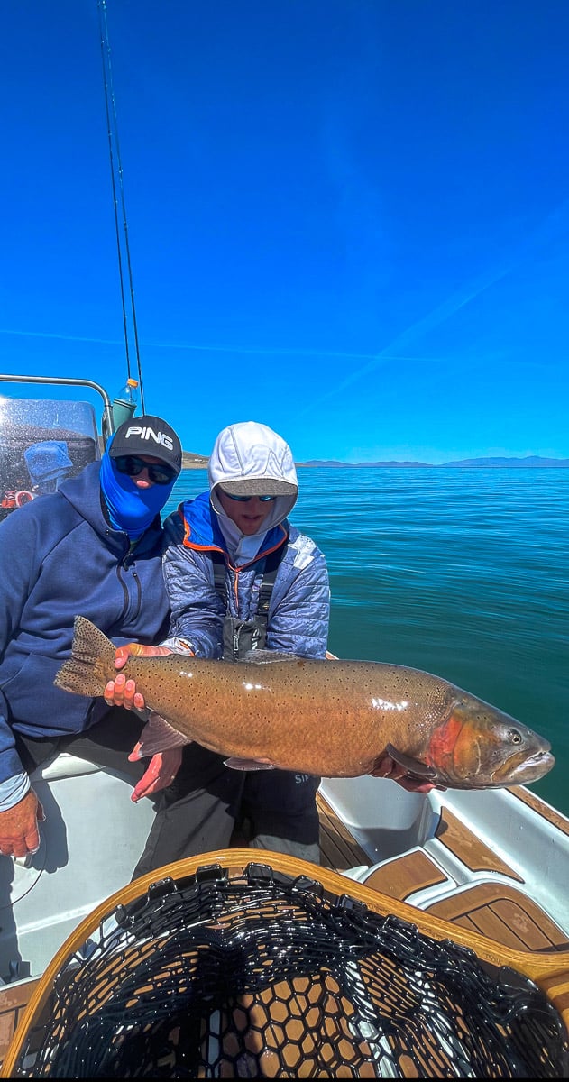 A fly fisherman on a lake in a boat holding a behemoth cutthroat trout.