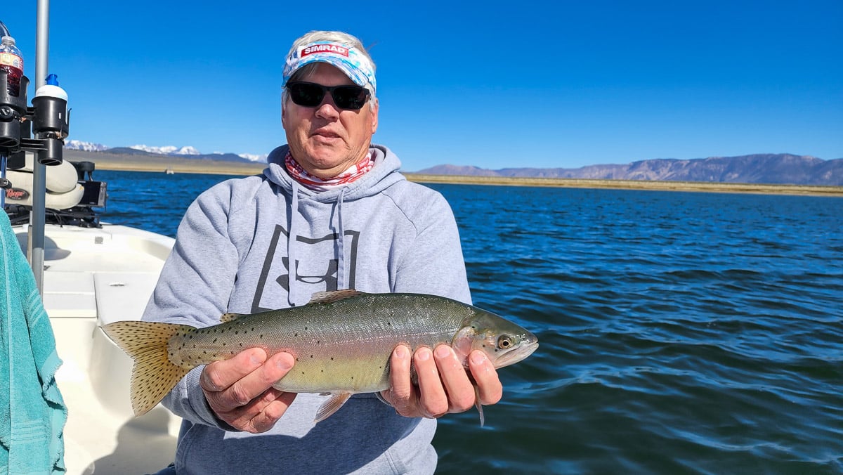 A fly fisherman on a lake in a boat holding a behemoth cutthroat trout.