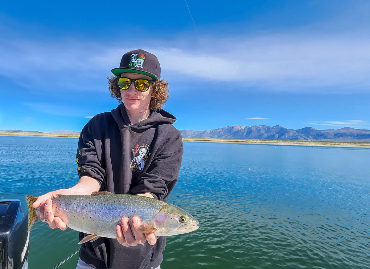 A fly fisherman in a river holding a large cutthroat trout with mountains in the background.