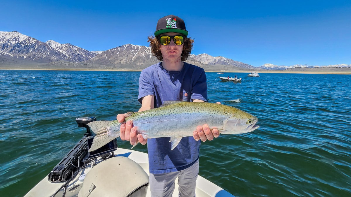 A lady fly fisherman on a lake in a boat holding a behemoth rainbow trout.