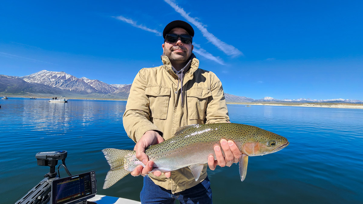 A fly fisherman holding a large rainbow trout on a lake.