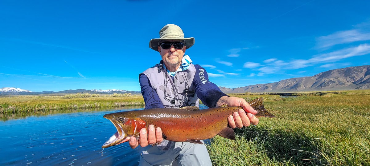 A fisherman holding a giant cutthroat trout in spawning colors on a river with green grassy banks.