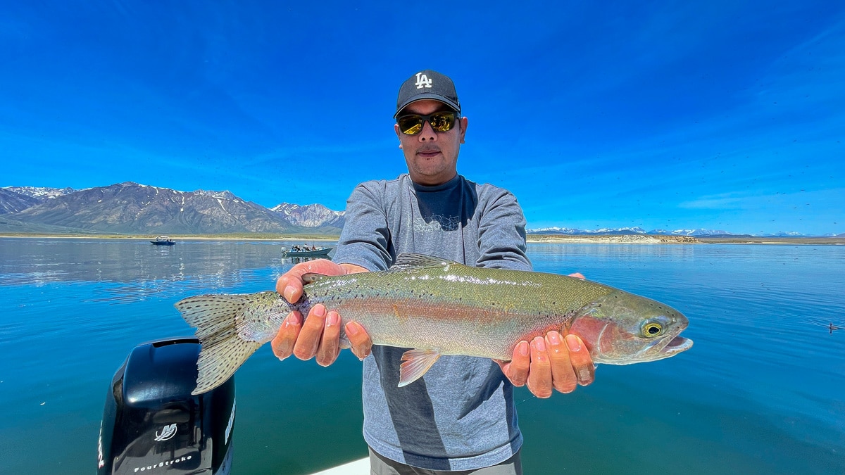 A smiling fly fisherman on a lake in a boat holding a large rainbow trout. width=300 height=142 /><p style=