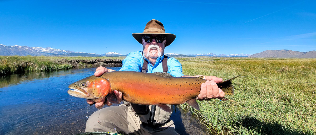 A fisherman holding a giant cutthroat trout in spawning colors on a river with green grassy banks.