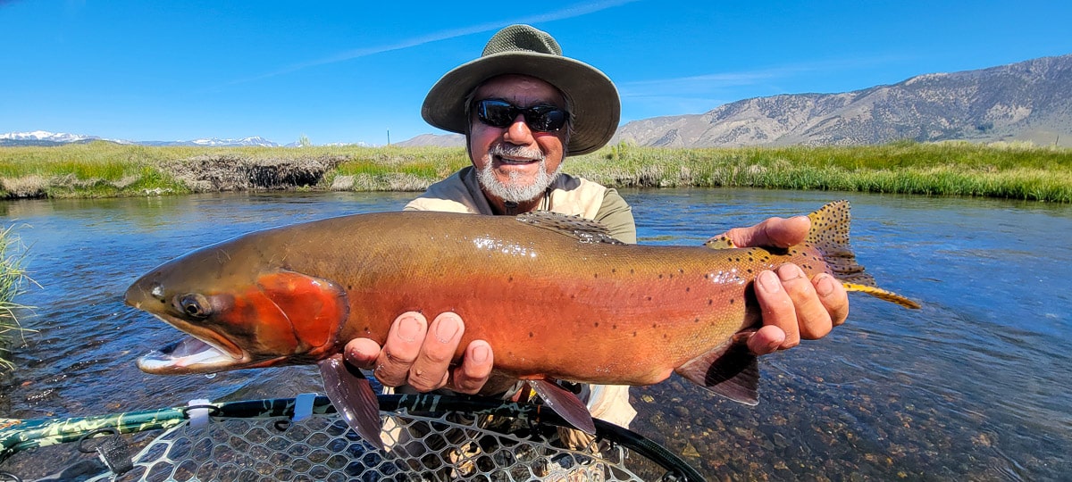 A fisherman holding a giant cutthroat trout in spawning colors on a river with green grassy banks.