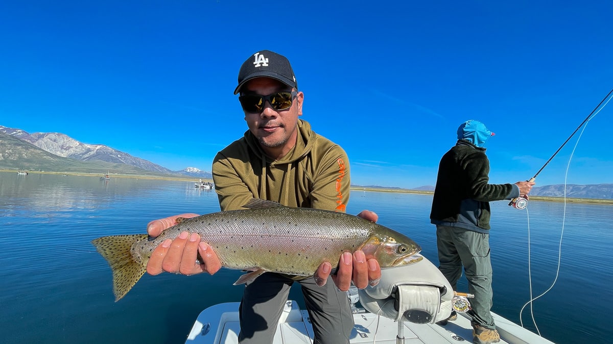 A fly fisherman on a lake in a boat holding a behemoth cutthroat trout.