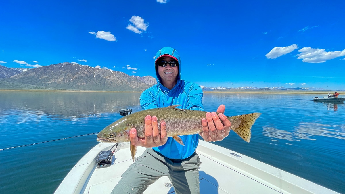 A fly fisherman on a lake in a boat holding a behemoth cutthroat trout.