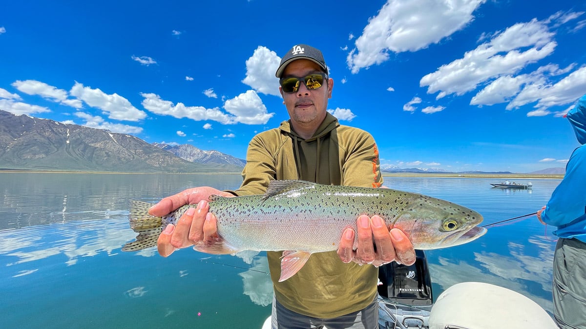 A fly fisherman on a lake in a boat holding a behemoth rainbow trout.