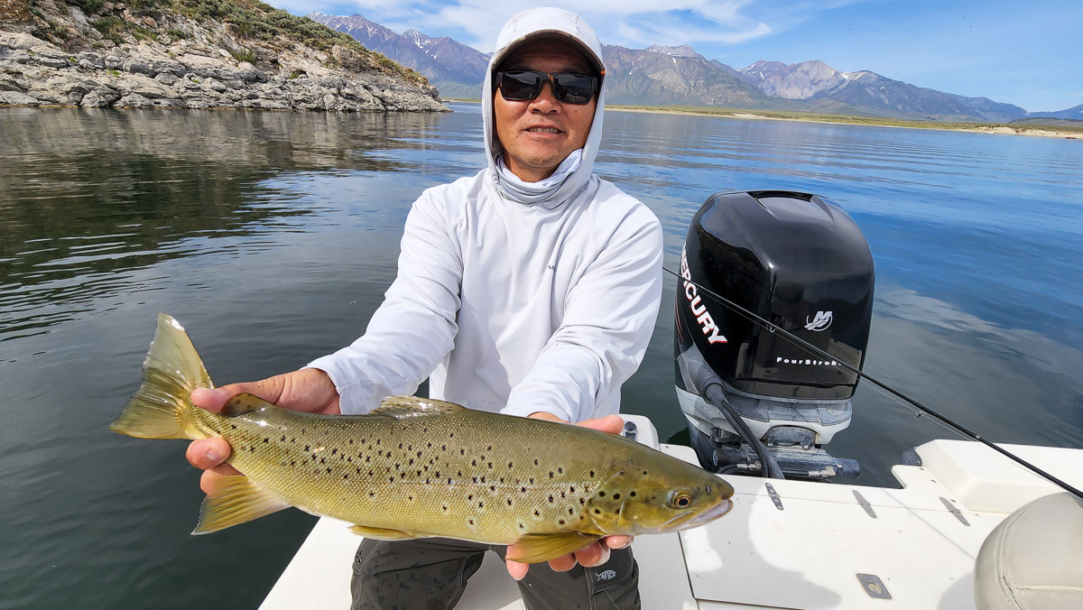 A fisherman holding a giant brown trout on a boat in a lake.