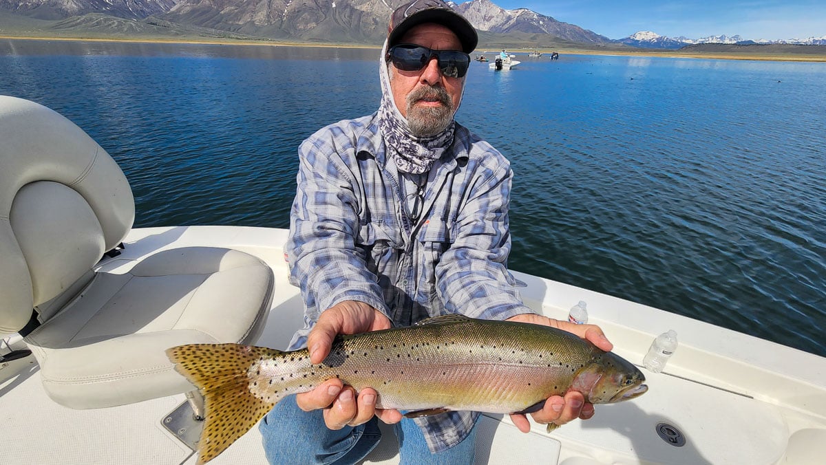 A fly fisherman by a river holding a nice cutthroat trout.