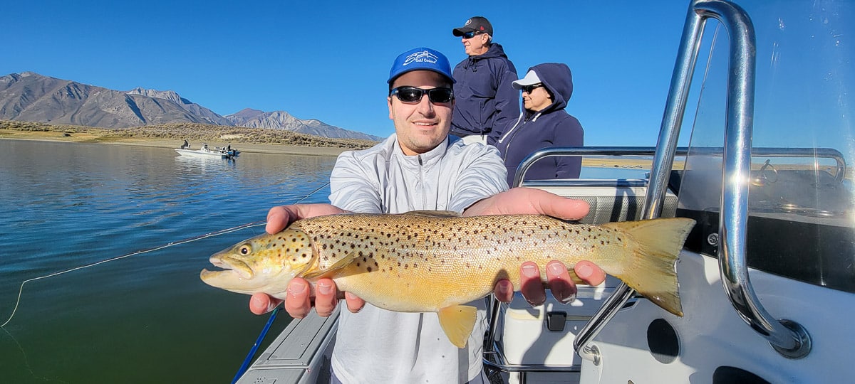 12/08/2020 Matt Dougherty, Grafton - Blue Spot Trout - 110cm - Old