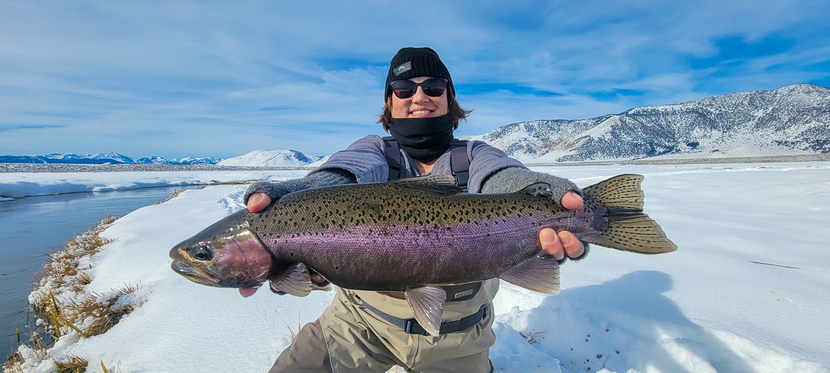 A fisherman holding a massive rainbow trout in the snow by a river.