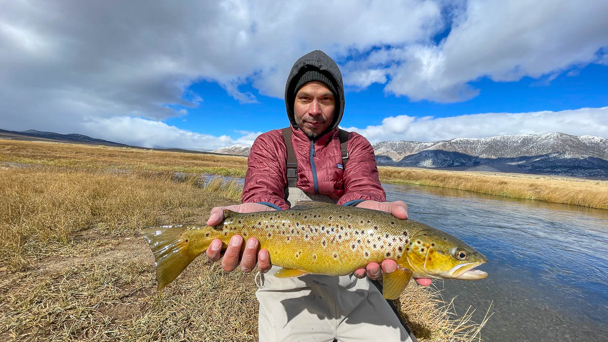 A fly fisherman holding a large brown trout.