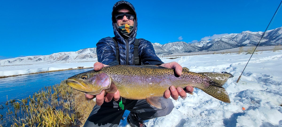 A smiling fisherman holding a massive rainbow trout next to a river in the snow.