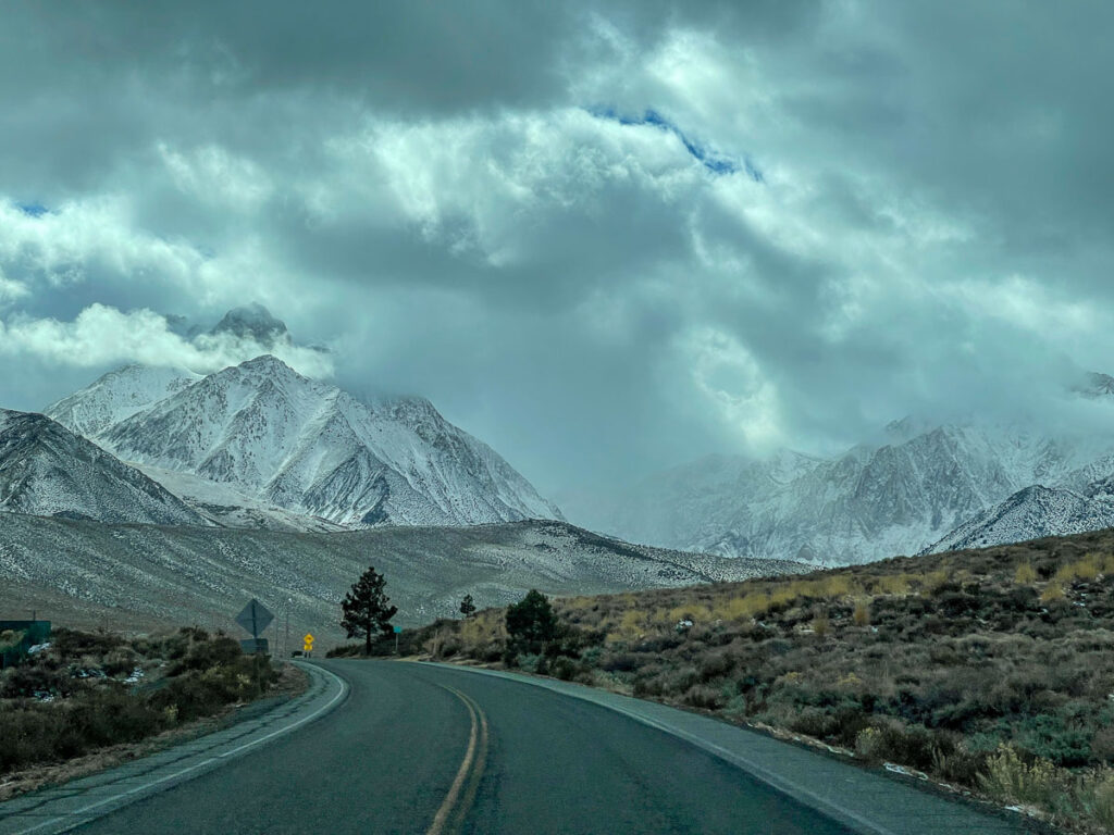 Eastern Sierra Fishing Report 11/4/22 Sierra Drifters Guide Service