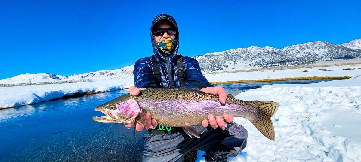 A smiling fisherman holding a massive rainbow trout next to a river in the snow.