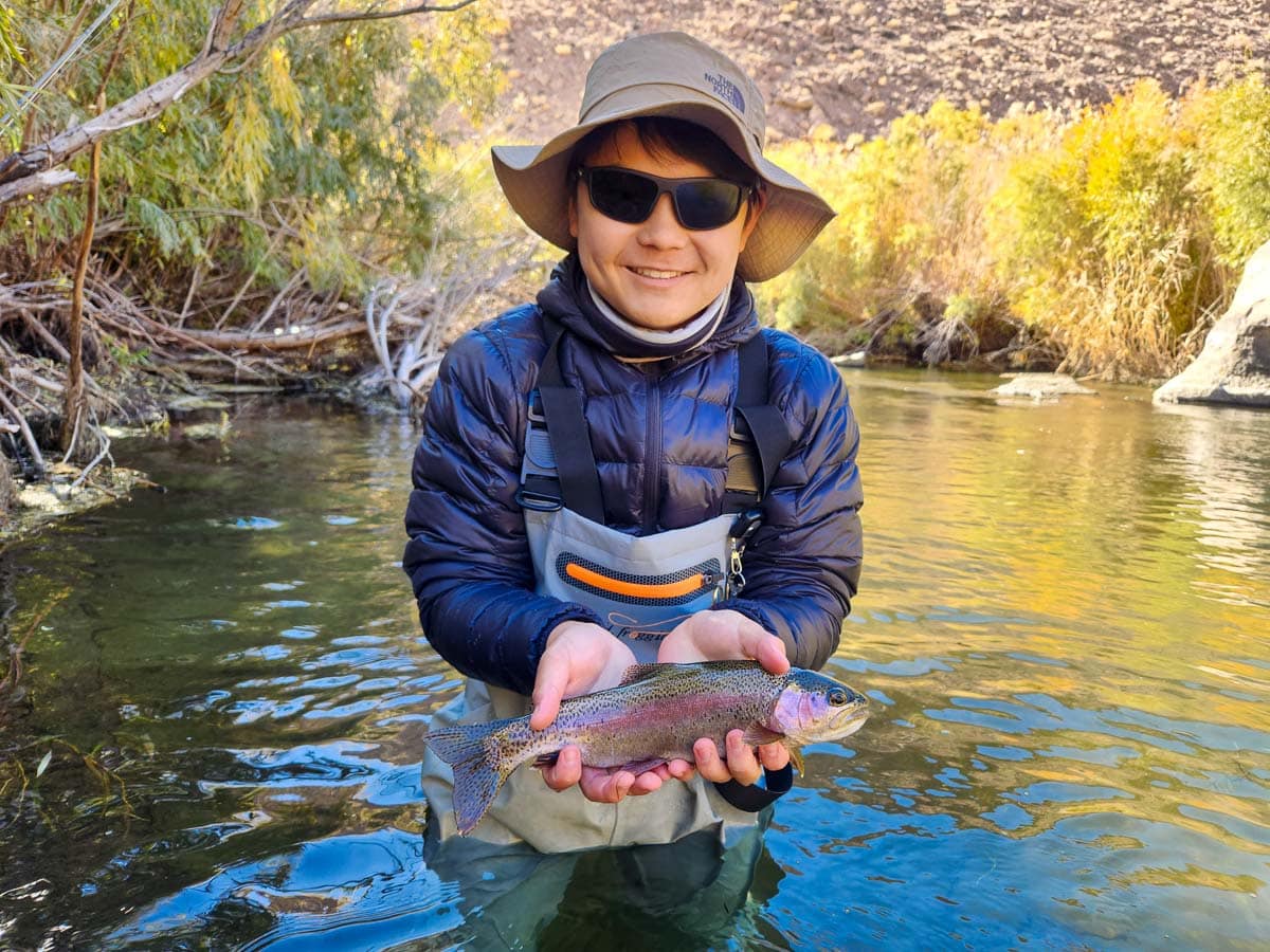 A man holding a rainbow trout on a river while wearing waders.