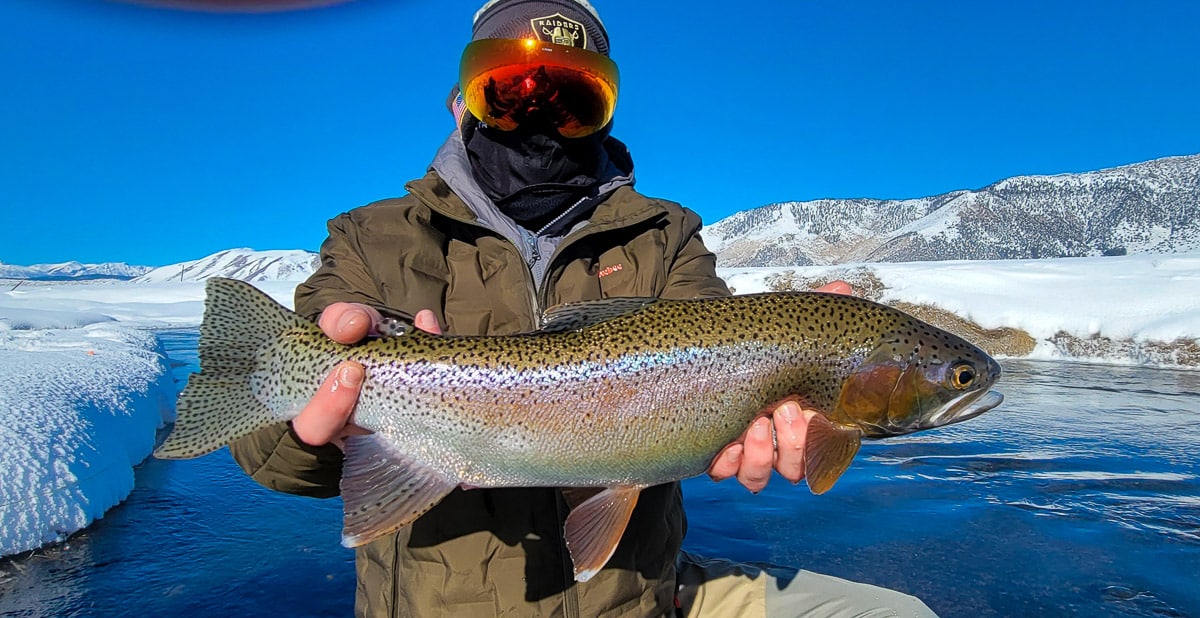 A smiling fisherman holding a massive rainbow trout next to a river in the snow.