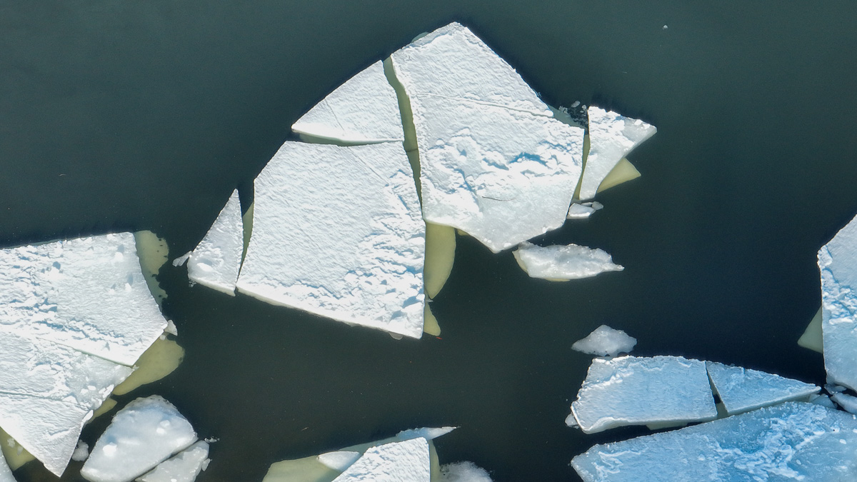 Breakaway ice floating in Crowley Lake.