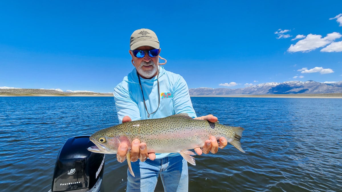 A fisherman holding a large rainbow trout from Crowley Lake on a boat.