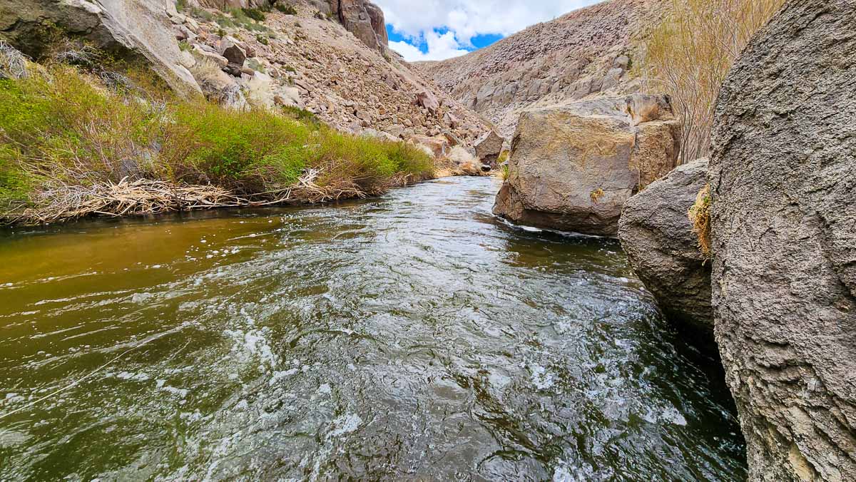 A river flowing through the Owens River Gorge.