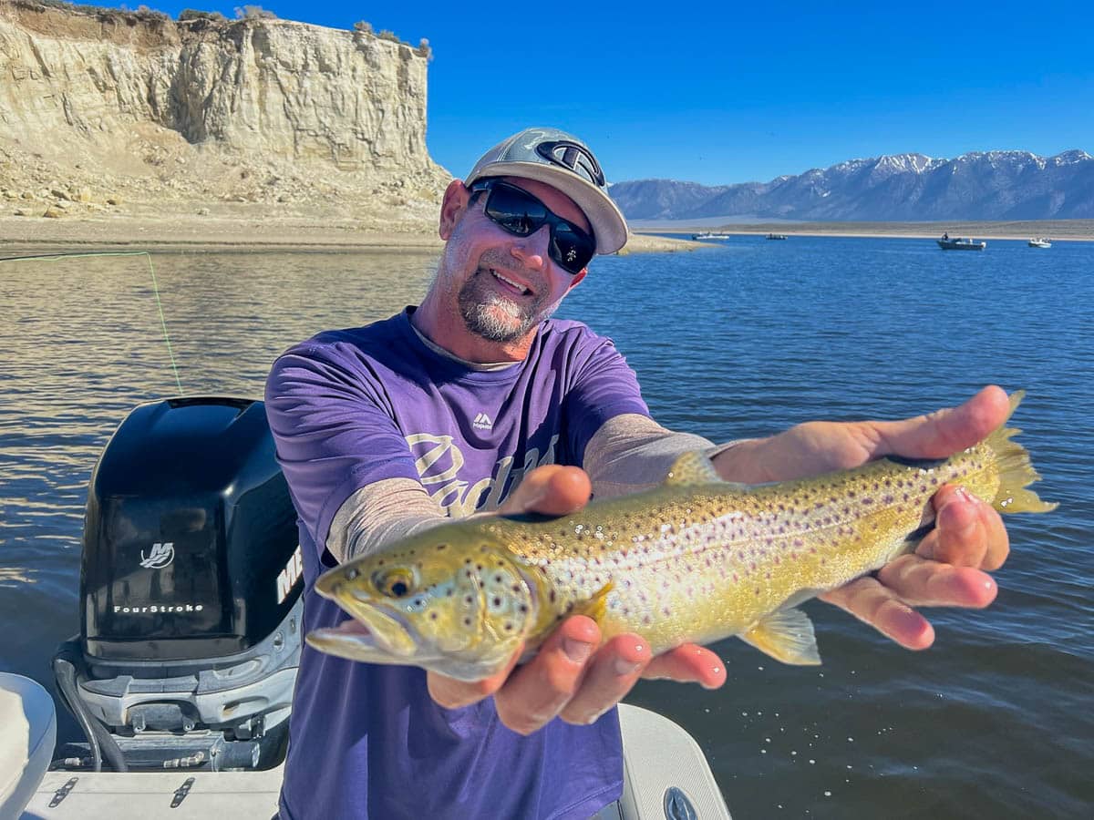 A fisherman holding a large brown trout from Crowley Lake on a boat.