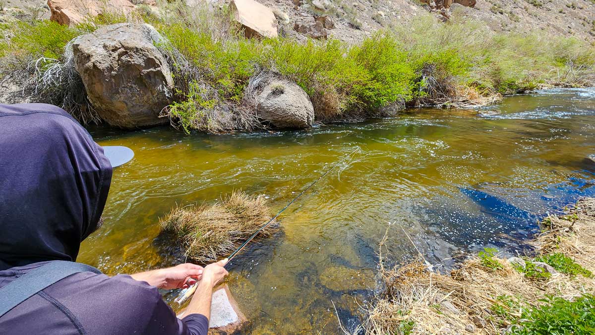 A fly fisheman on a river with clear water.