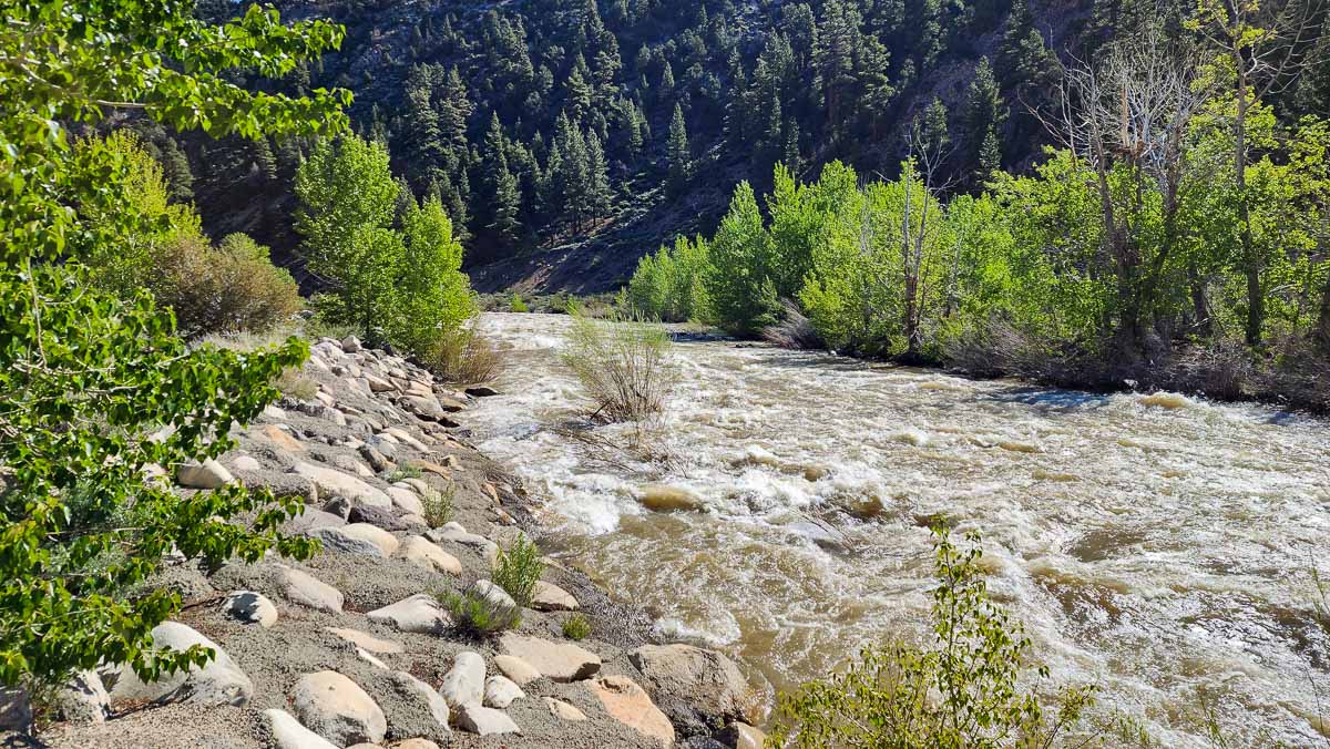 A raging river in the mountains of the eastern sierra nevada.