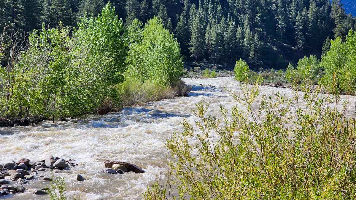 A raging river in the mountains of the eastern sierra nevada.