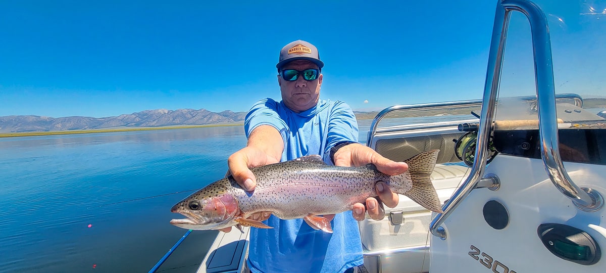 A fisherman holding a large rainbow trout from Crowley Lake on a boat.