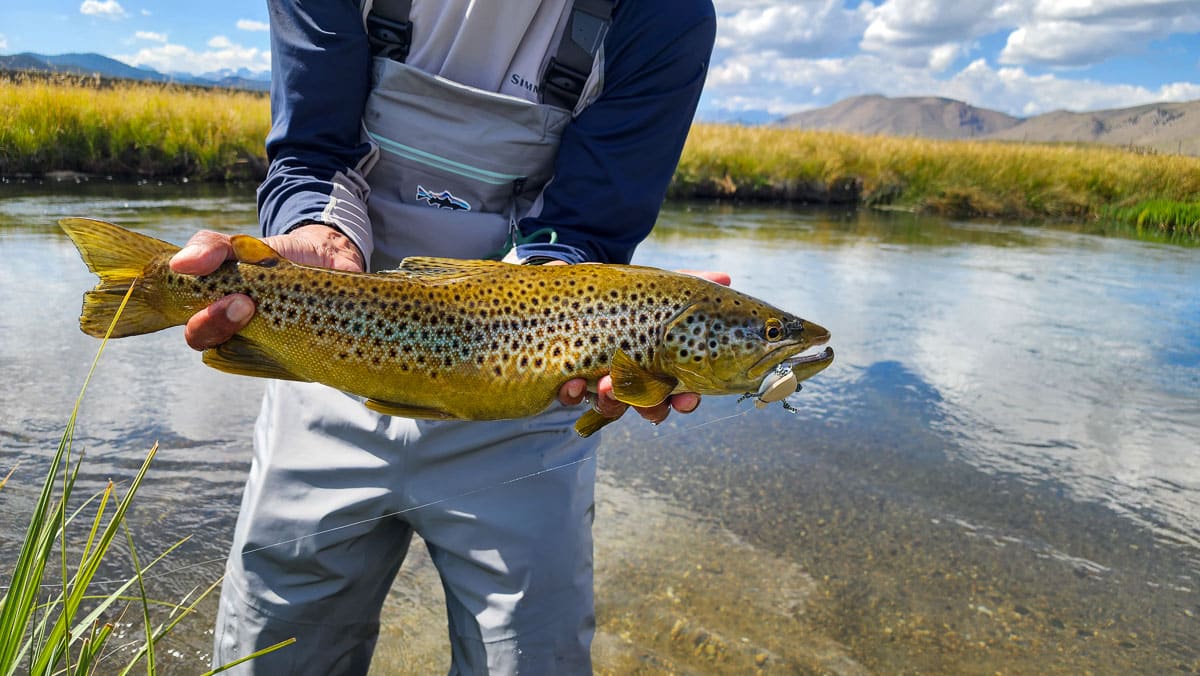 High Sierra Fishing Tactics  The Trout Report - Fishing Articles